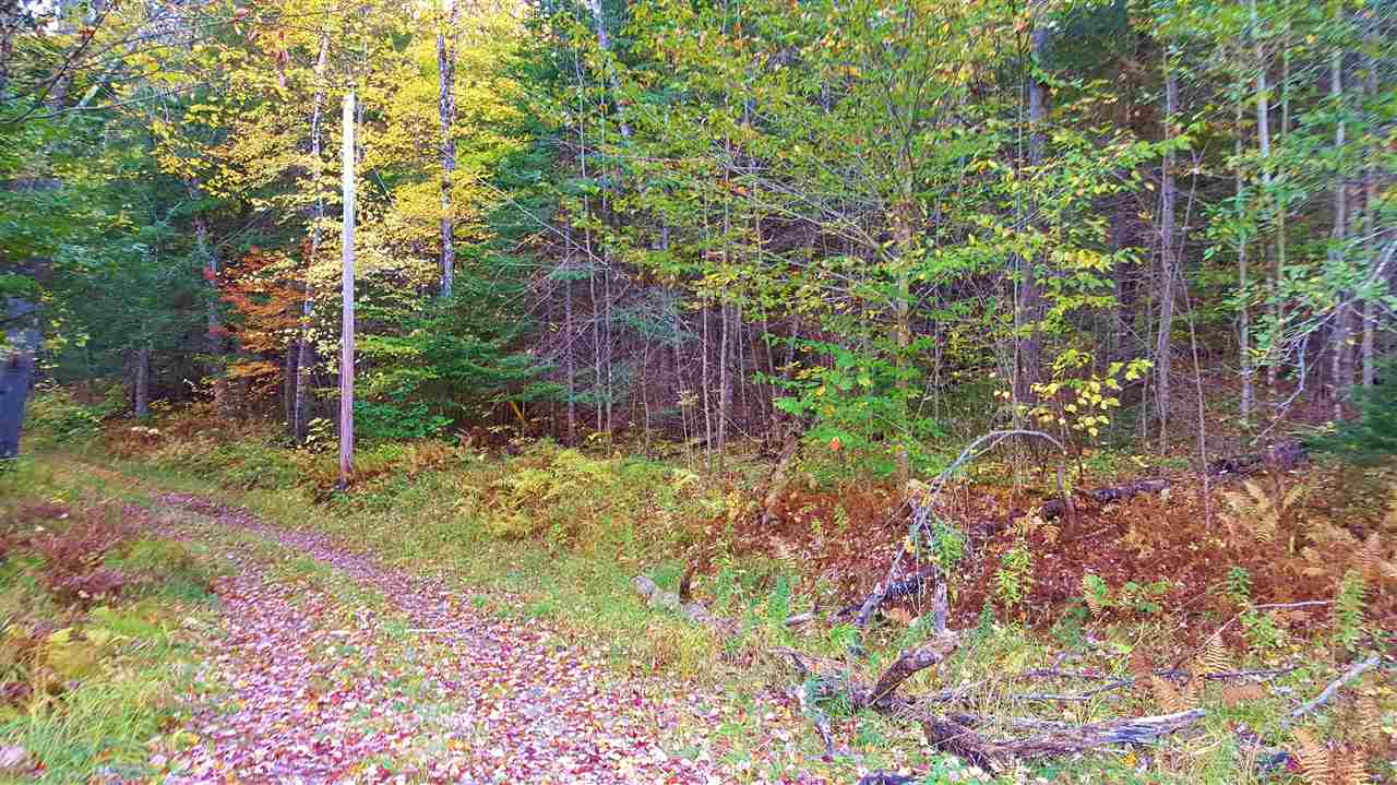 DANBURY NH Land / Acres for sale