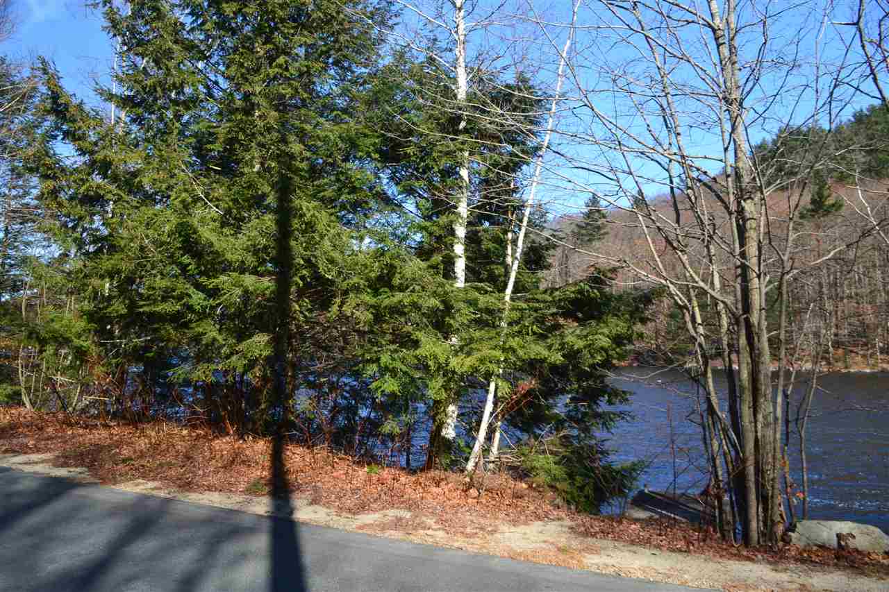 SPRINGFIELD NH Land / Acres for sale