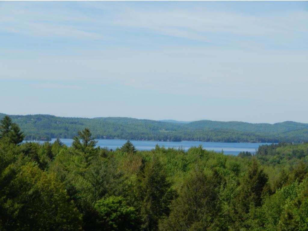NEWBURY NH Homes for sale