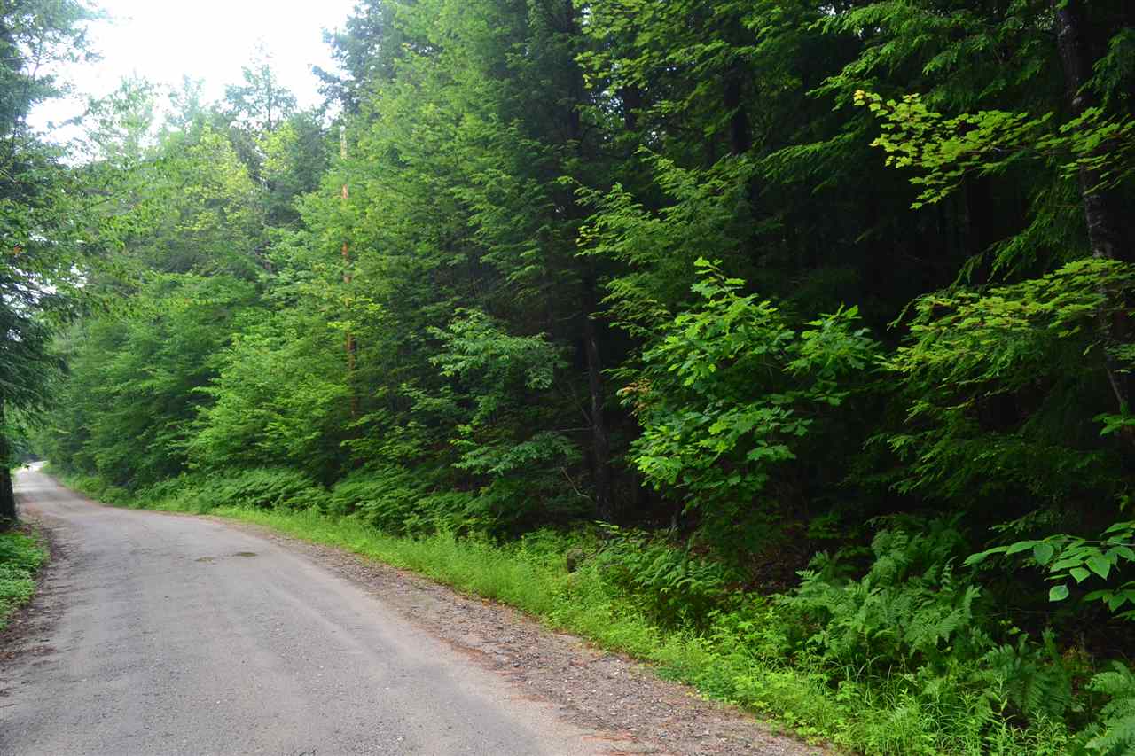 DANBURY NH Land / Acres for sale