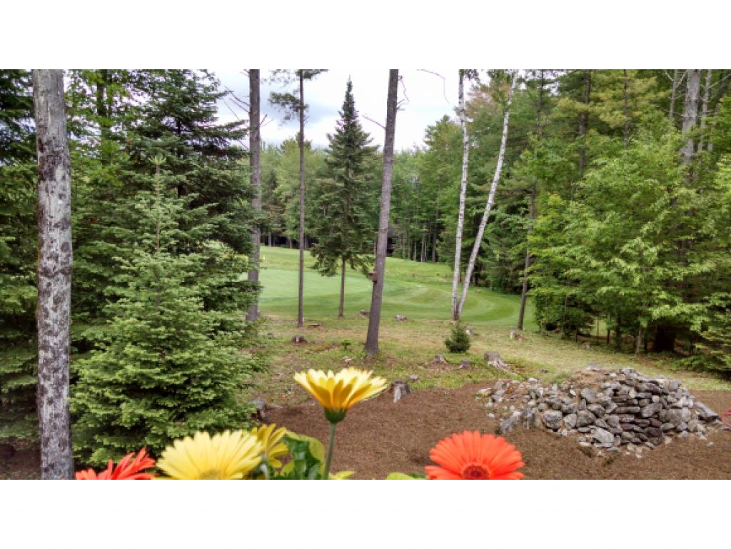 VILLAGE OF EASTMAN IN TOWN OF GRANTHAM NH Homes for sale
