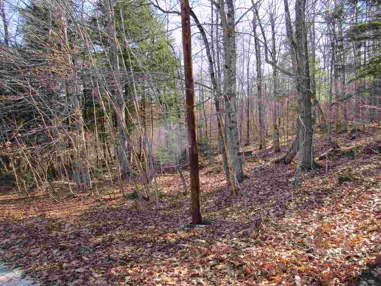 DANBURY NH Land / Acres for sale