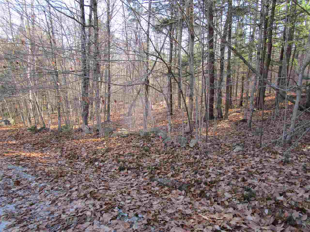 DANBURY NH Land / Acres for sale