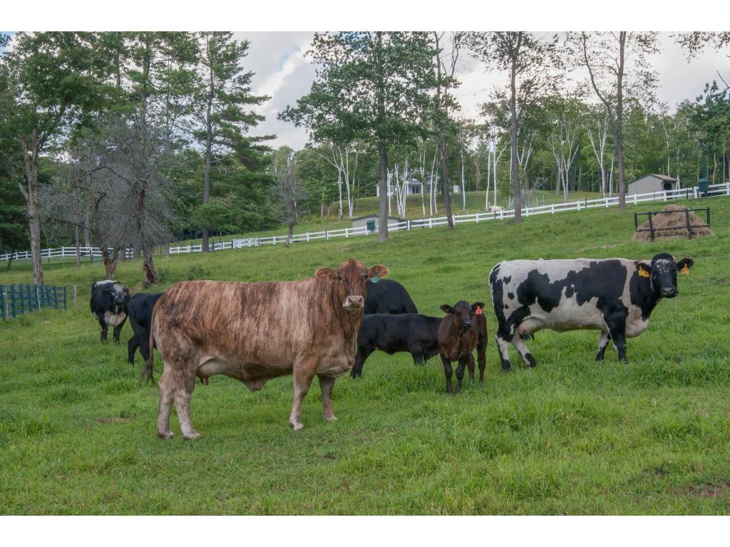 Livestock 11232387