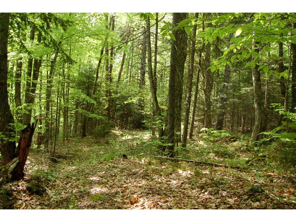 VILLAGE OF EASTMAN IN TOWN OF SPRINGFIELD NH Land / Acres for sale