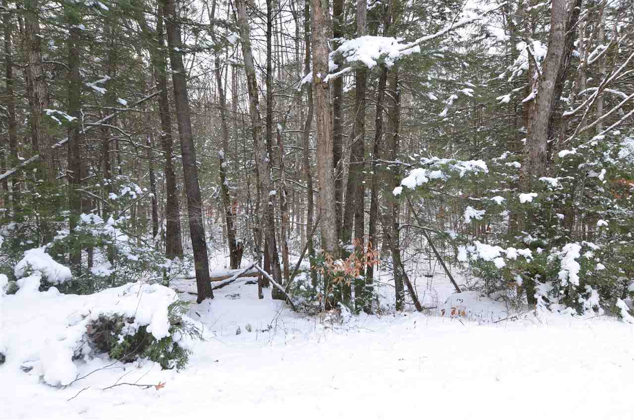 VILLAGE OF EASTMAN IN TOWN OF SPRINGFIELD NH Land / Acres for sale