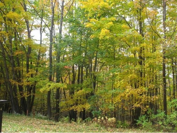 LEBANON NH Land / Acres for sale