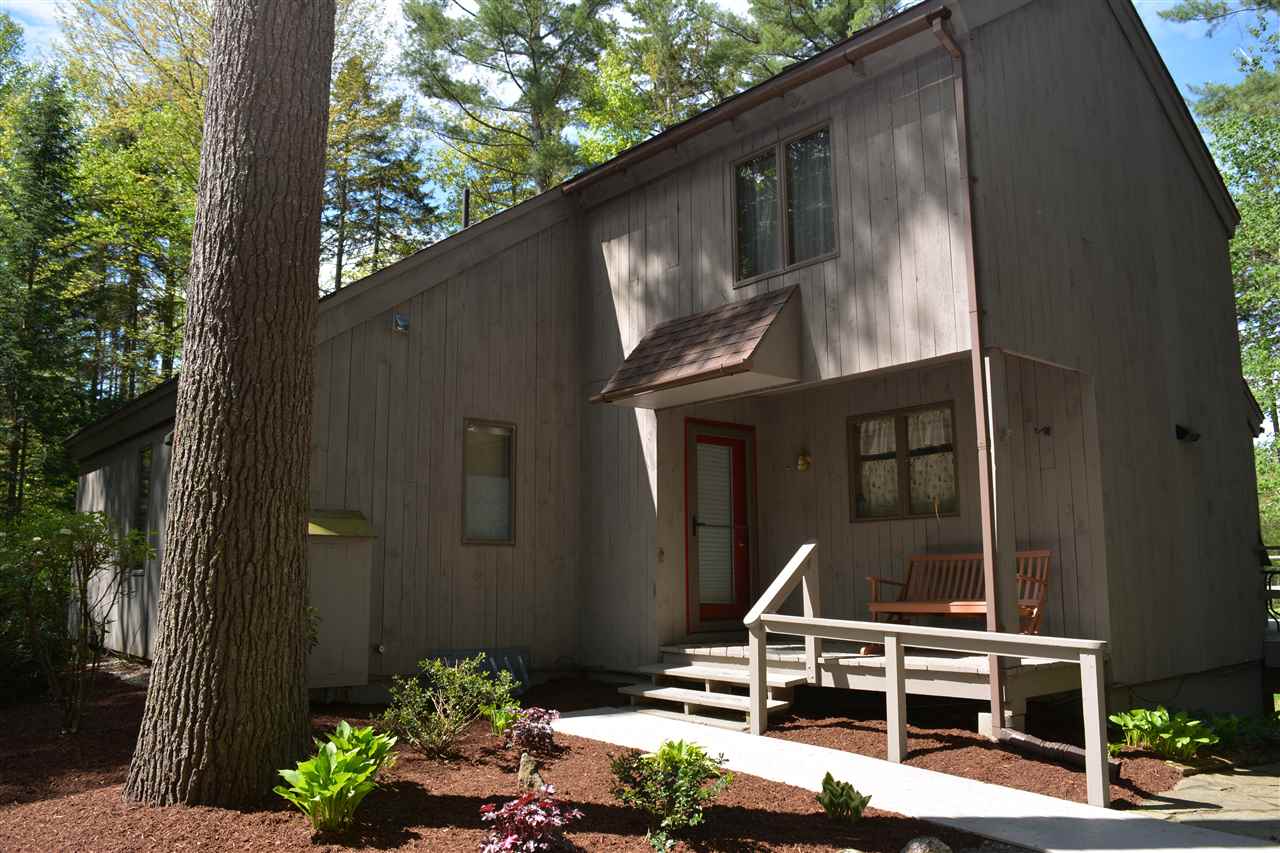 VILLAGE OF EASTMAN IN TOWN OF GRANTHAM NH Homes for sale