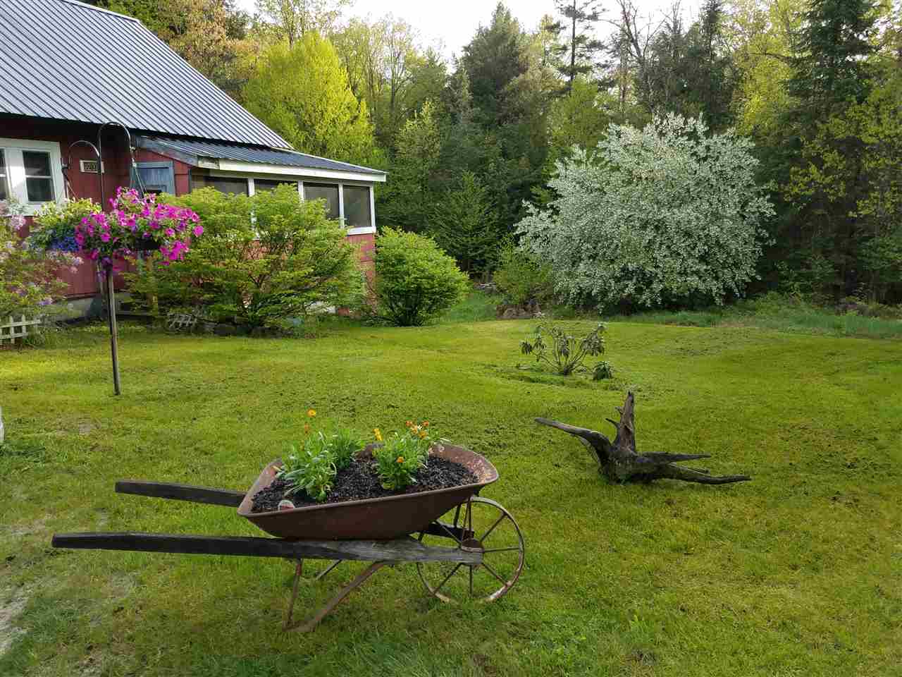 GRAFTON NH Homes for sale