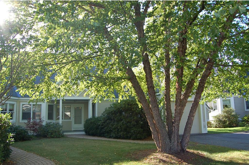 GRANTHAM NH Condos for sale