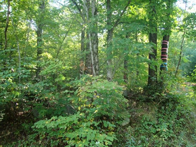DORCHESTER NH Land / Acres for sale