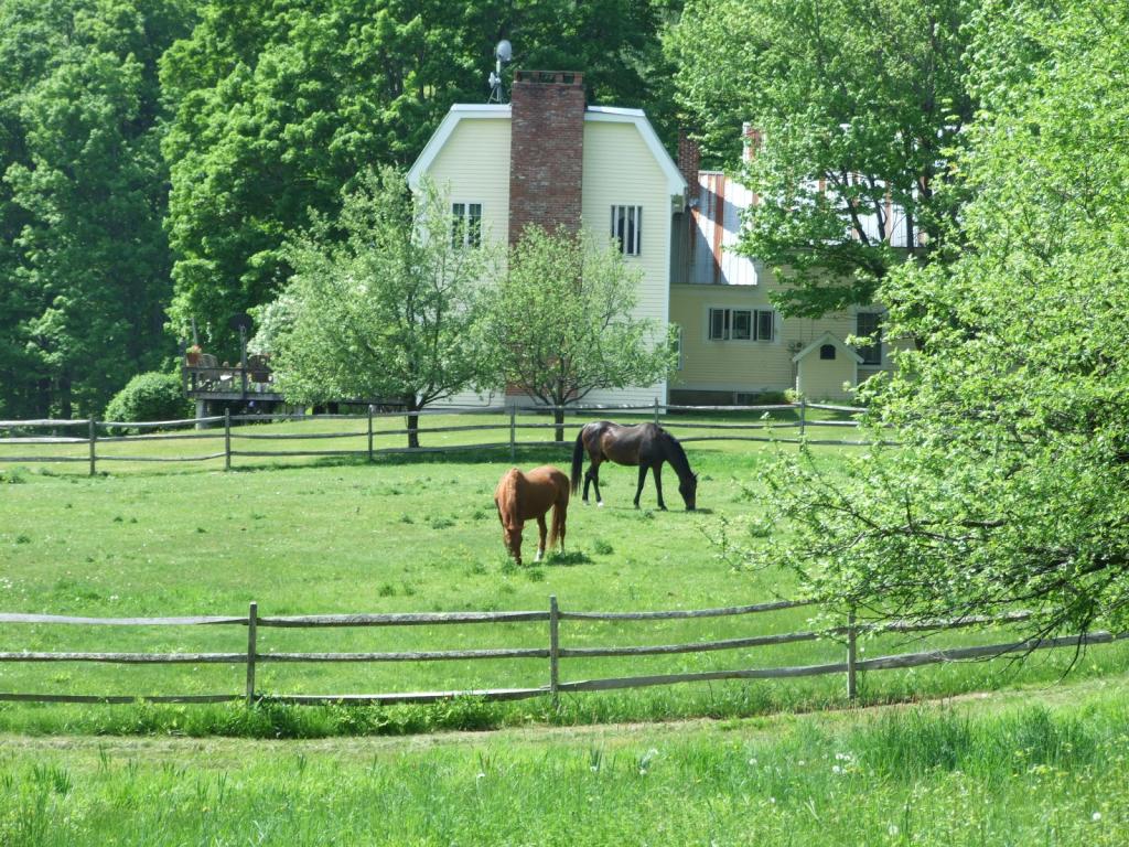 Enjoy your horses 11552171