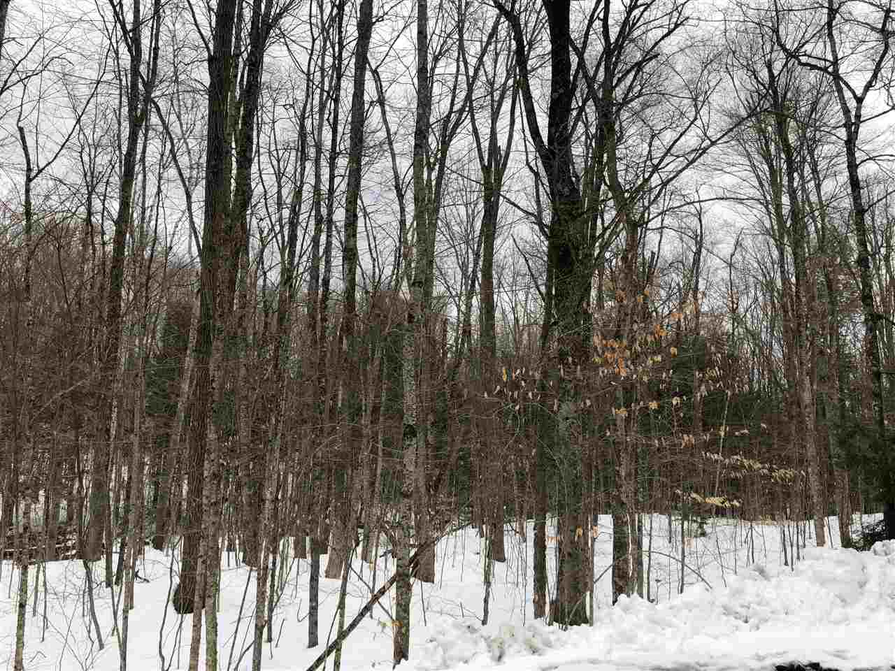 VILLAGE OF EASTMAN IN TOWN OF GRANTHAM NH Land / Acres for sale