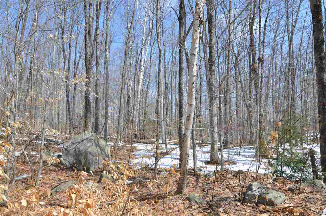 ENFIELD NH Land / Acres for sale