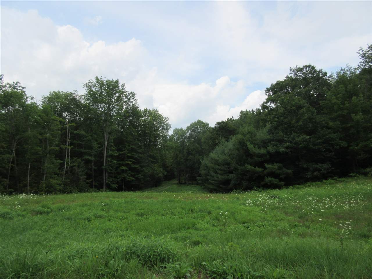PLAINFIELD NH Land / Acres for sale