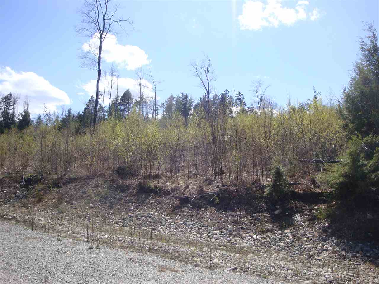 GROTON NH Land / Acres for sale