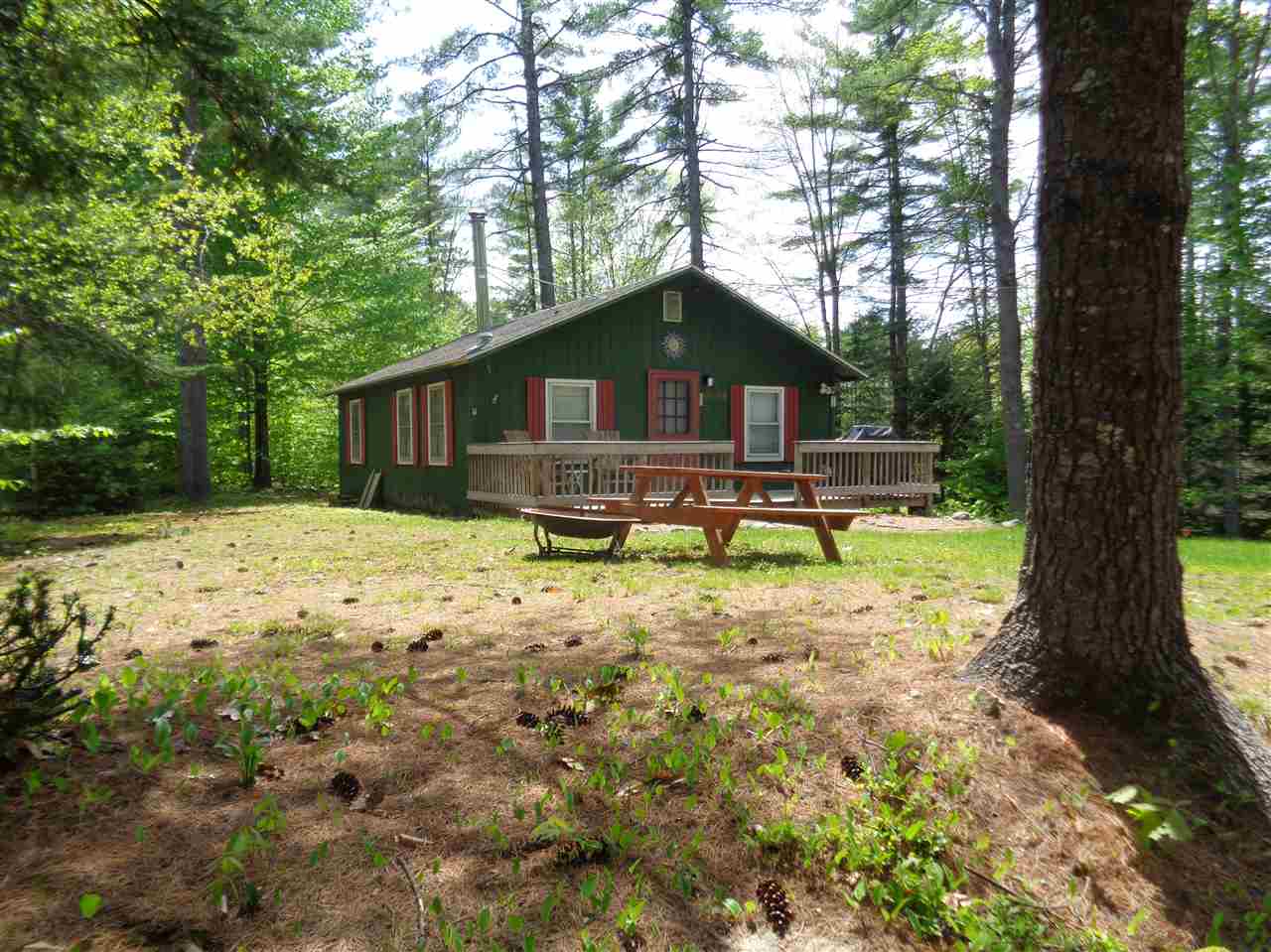 BRISTOL NH Homes for sale