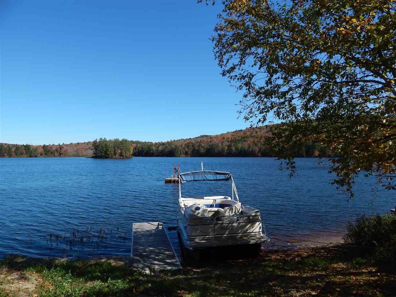 SPRINGFIELD NH Homes for sale