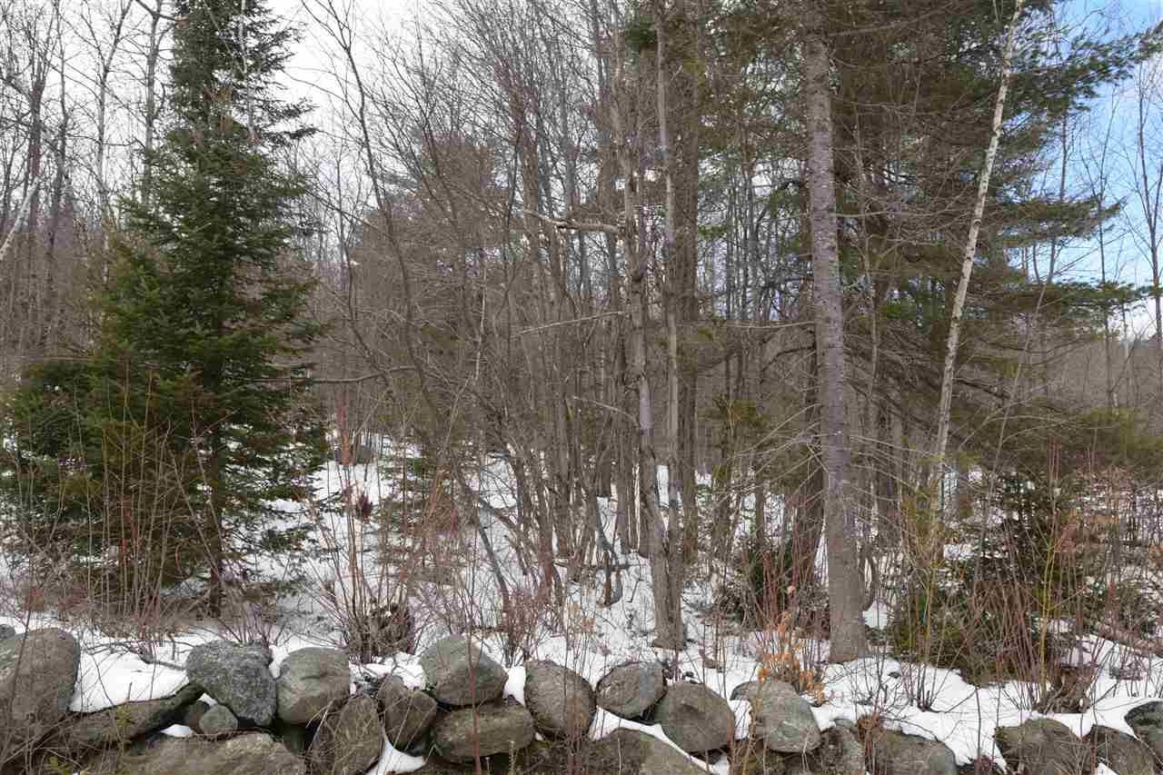 ALEXANDRIA NH Land / Acres for sale