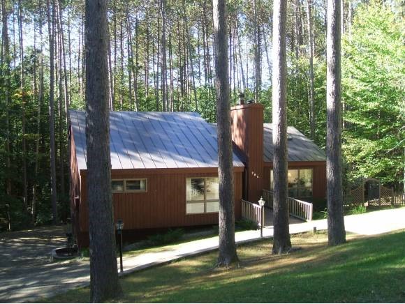 Dappled Sunshine and Privacy 11818139