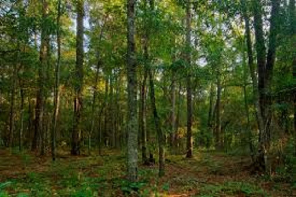 NEW LONDON NH Land / Acres for sale