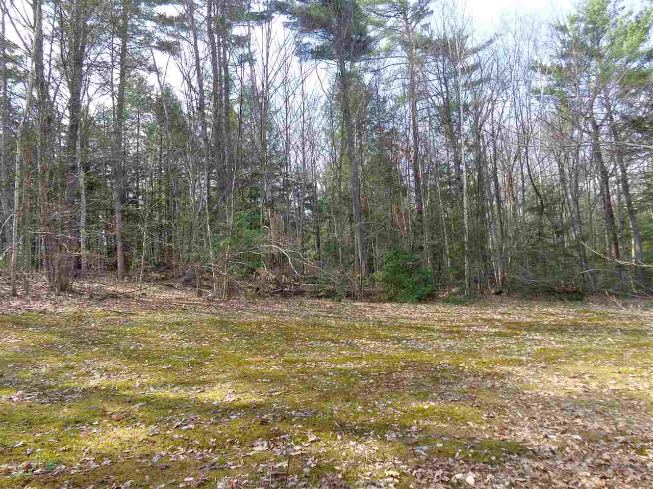 BRISTOL NH Land / Acres for sale