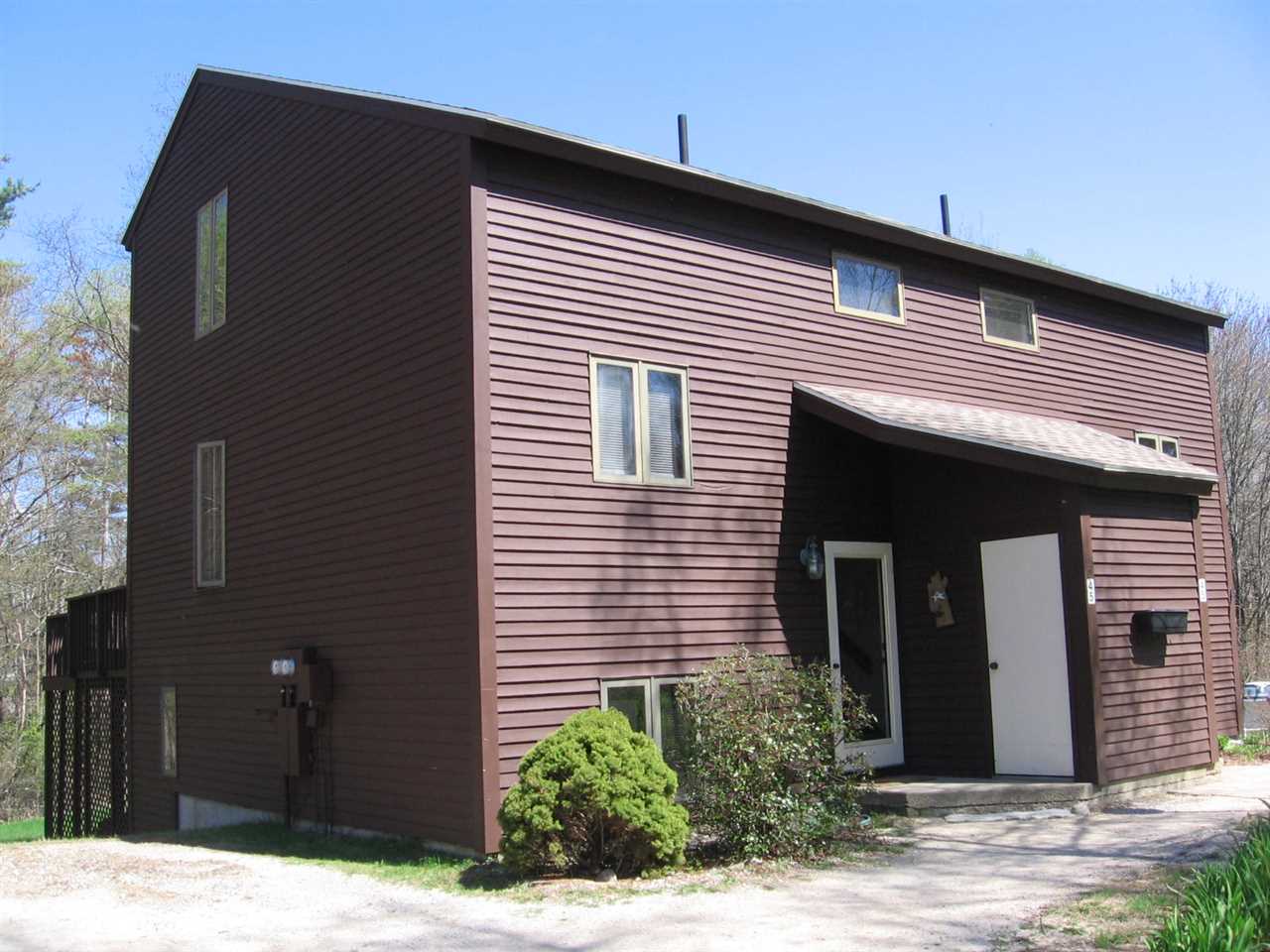 BRISTOL NH Condos for sale