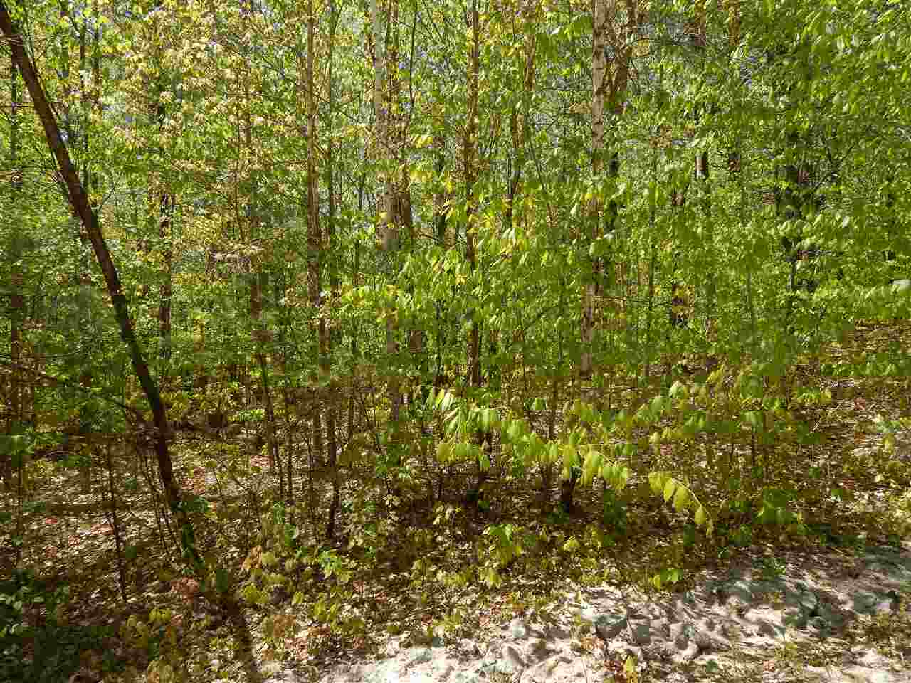 NEWBURY NH Land / Acres for sale