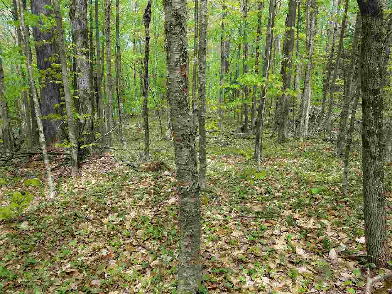 SPRINGFIELD NH Land / Acres for sale