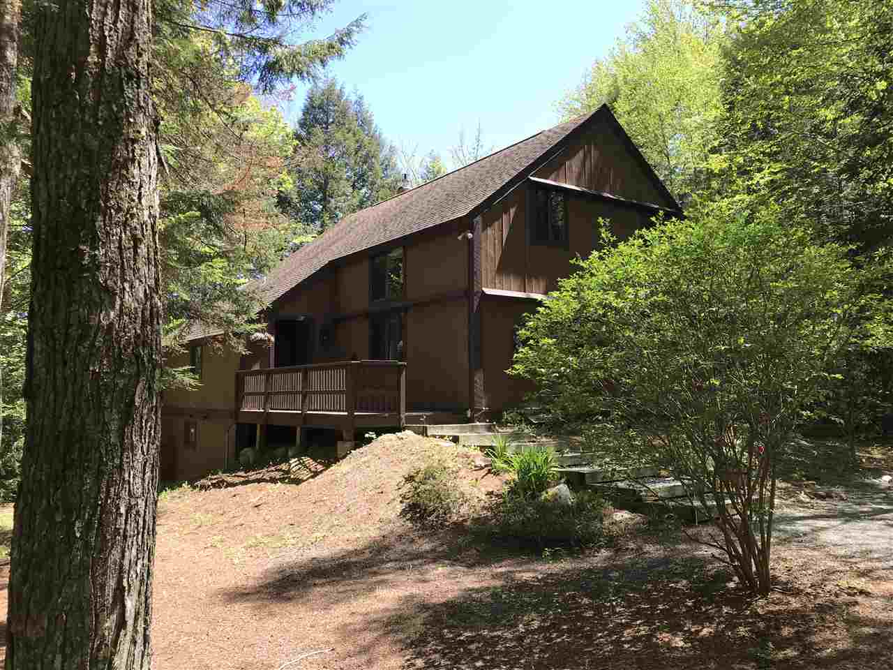 VILLAGE OF EASTMAN IN TOWN OF GRANTHAM NH Homes for sale