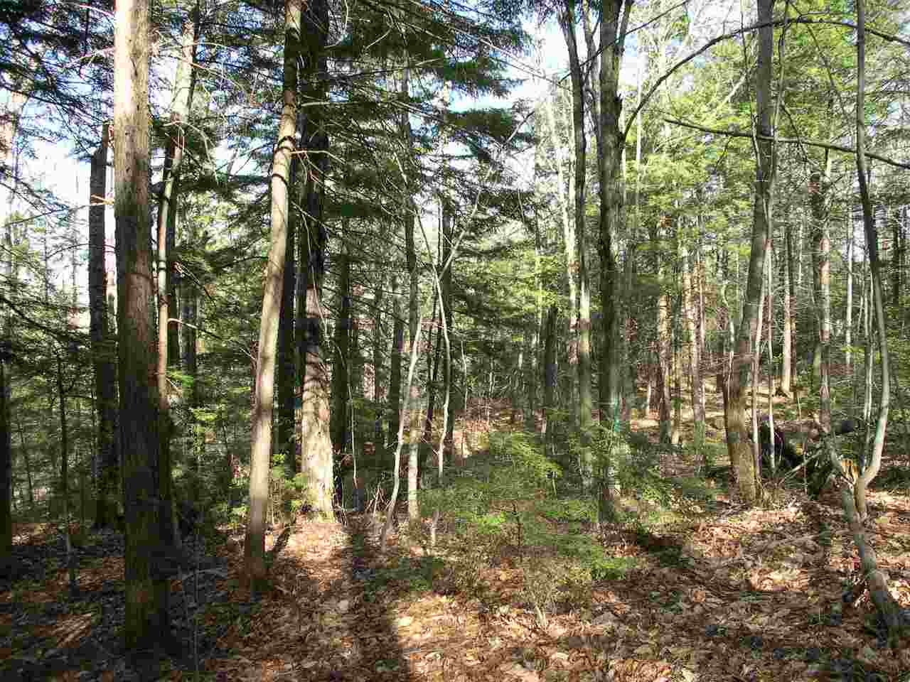 ALEXANDRIA NH Land / Acres for sale