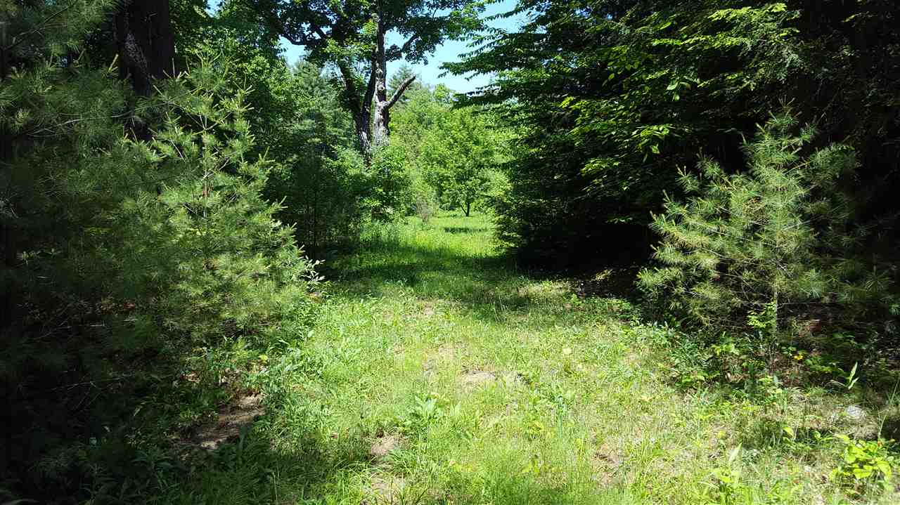 LYME NH Land / Acres for sale