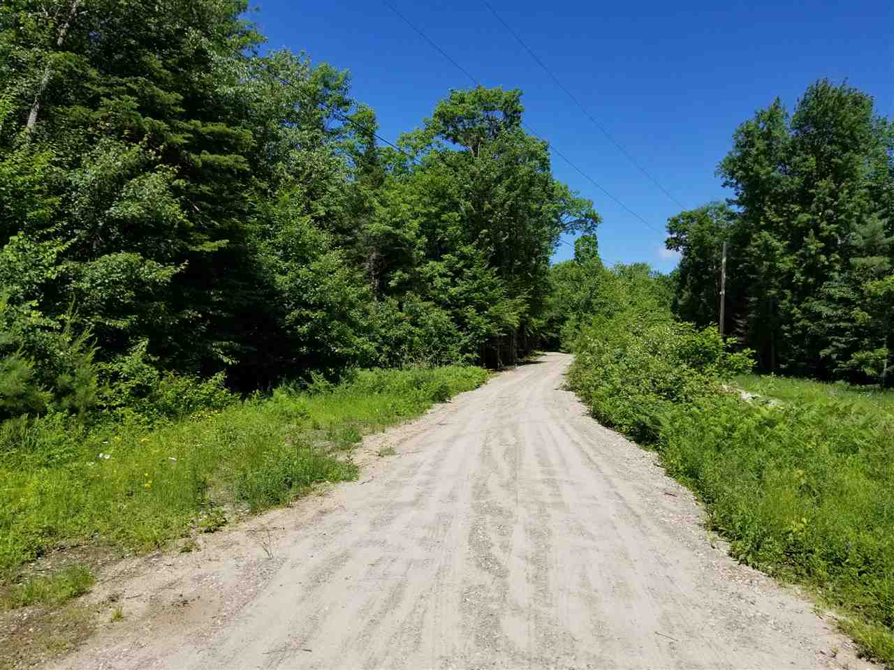 DANBURY NH Land / Acres for sale