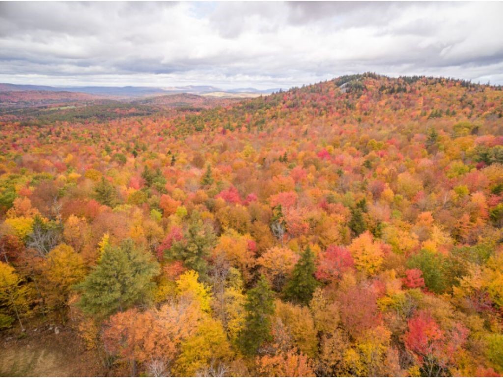 Springfield New Hampshire Land / Acres For Sale page 1