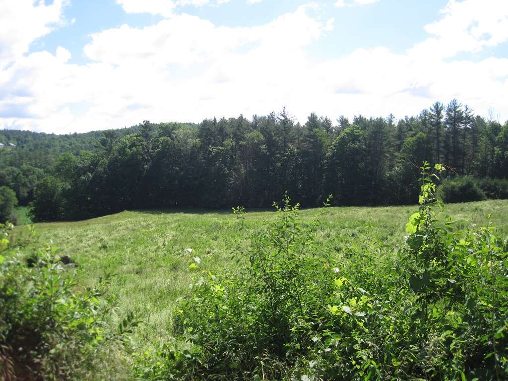PLAINFIELD NH Land / Acres for sale