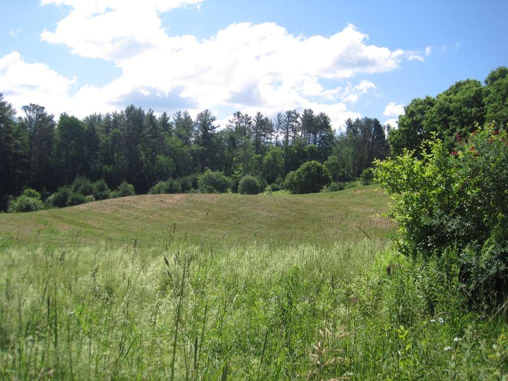 PLAINFIELD NH Land / Acres for sale