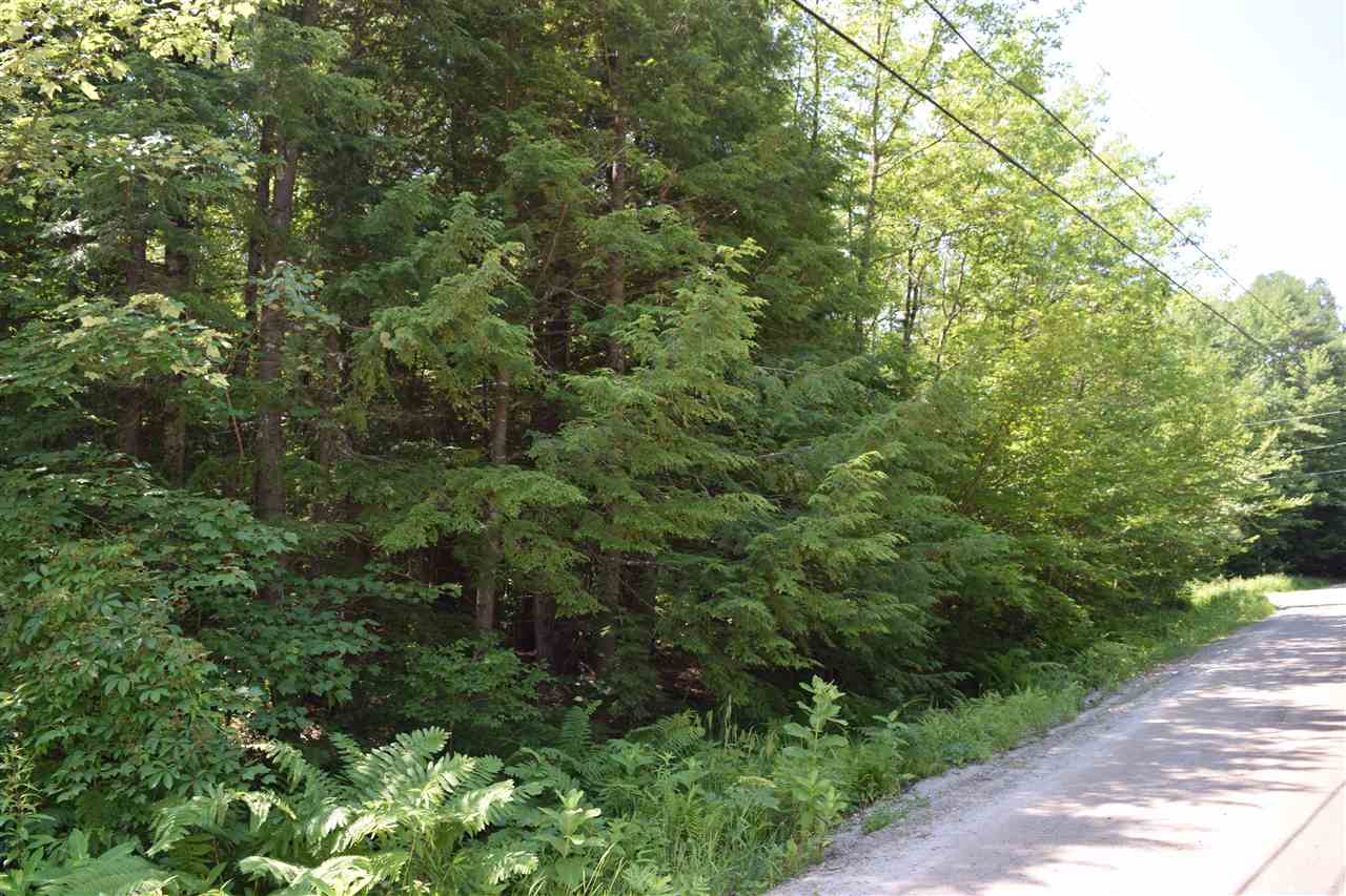 Photo of Lot 44 New London Drive Webster NH 03303