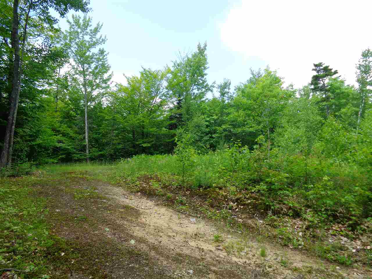 DANBURY NH Land / Acres for sale