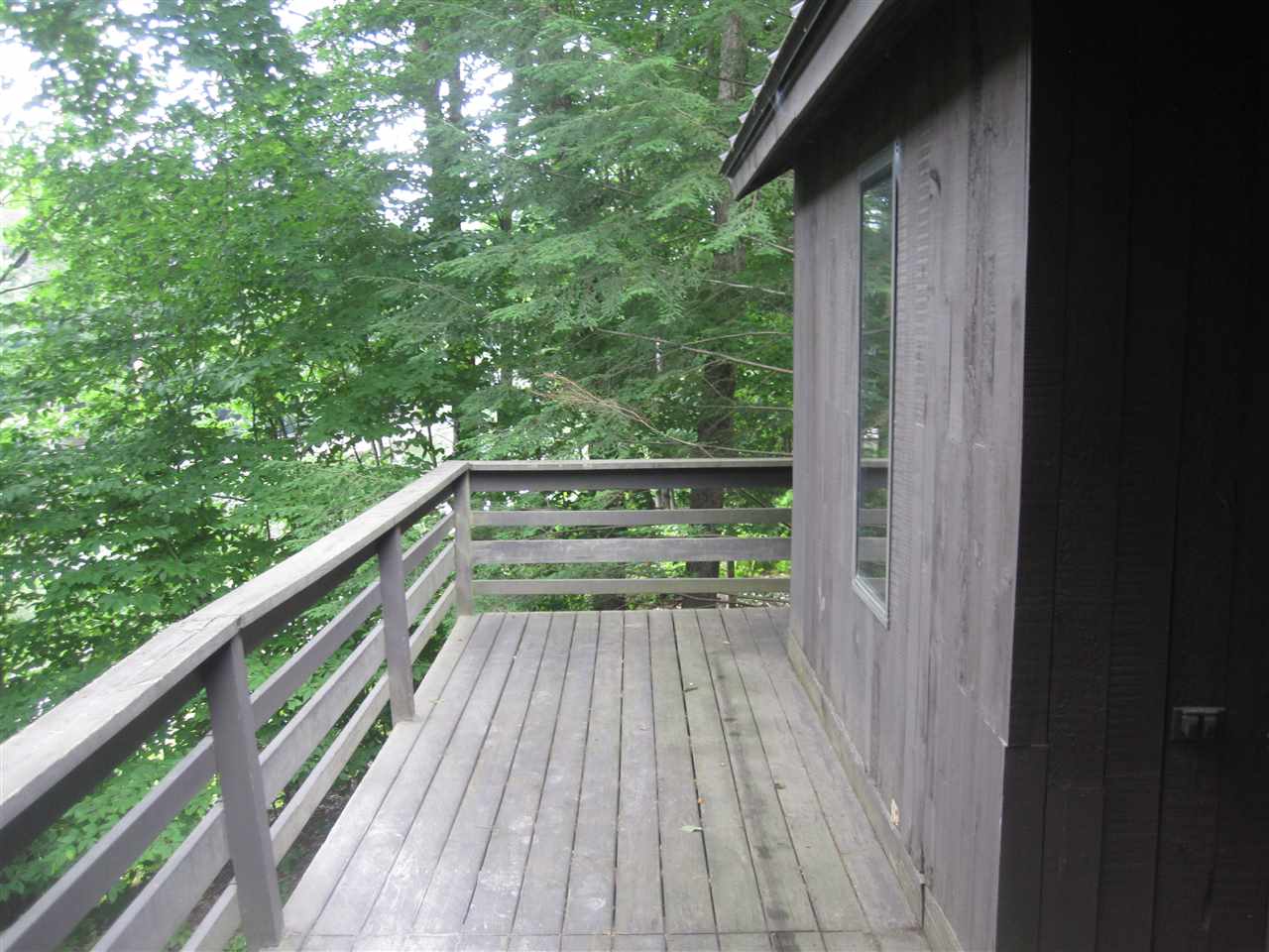 Back Deck 12295618