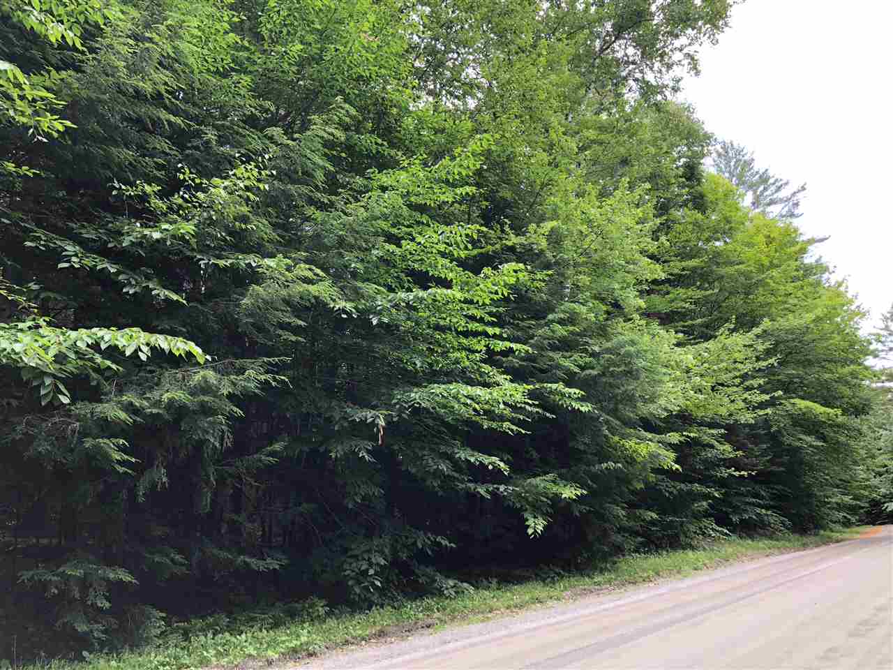 VILLAGE OF EASTMAN IN TOWN OF SPRINGFIELD NH Land / Acres for sale