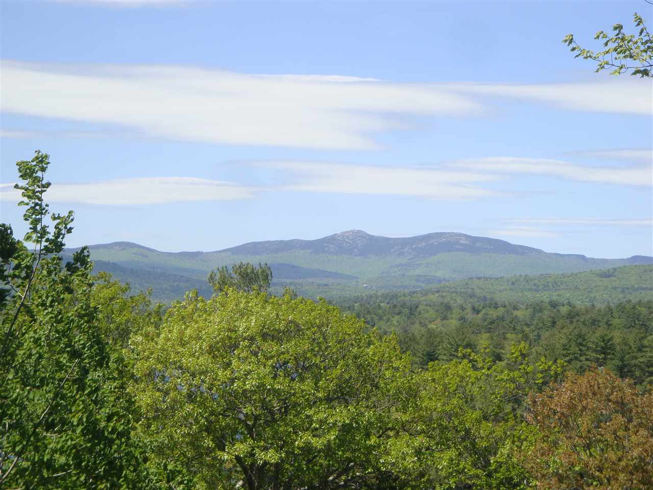 BRISTOL NH Homes for sale