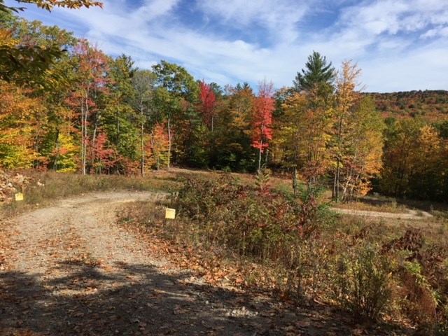Map 126 027 004 Province Road Gilmanton Nh 03237 Maxfield Real Estate