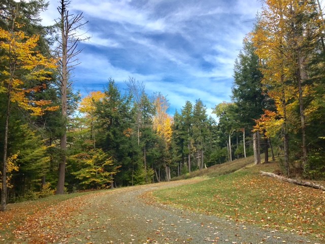 VILLAGE OF ETNA IN TOWN OF HANOVER NH Land / Acres for sale