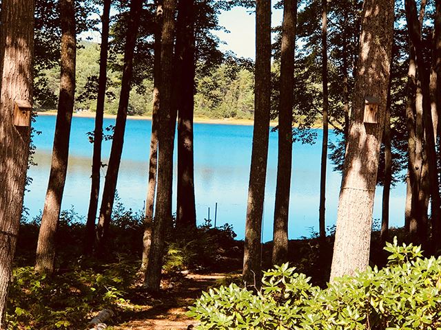 Pond Sargents Pond waterfront home for sale in Wolfeboro