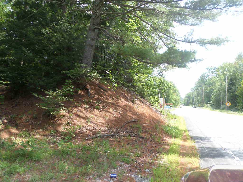 DANBURY NH Land / Acres for sale
