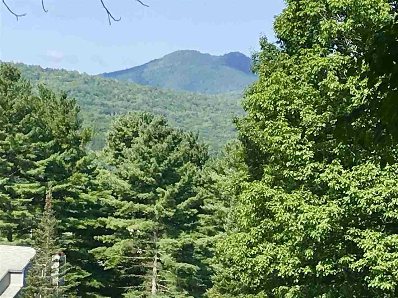 65 Mountain River East Road 53 Thornton 03285 Peabody Smith Realty