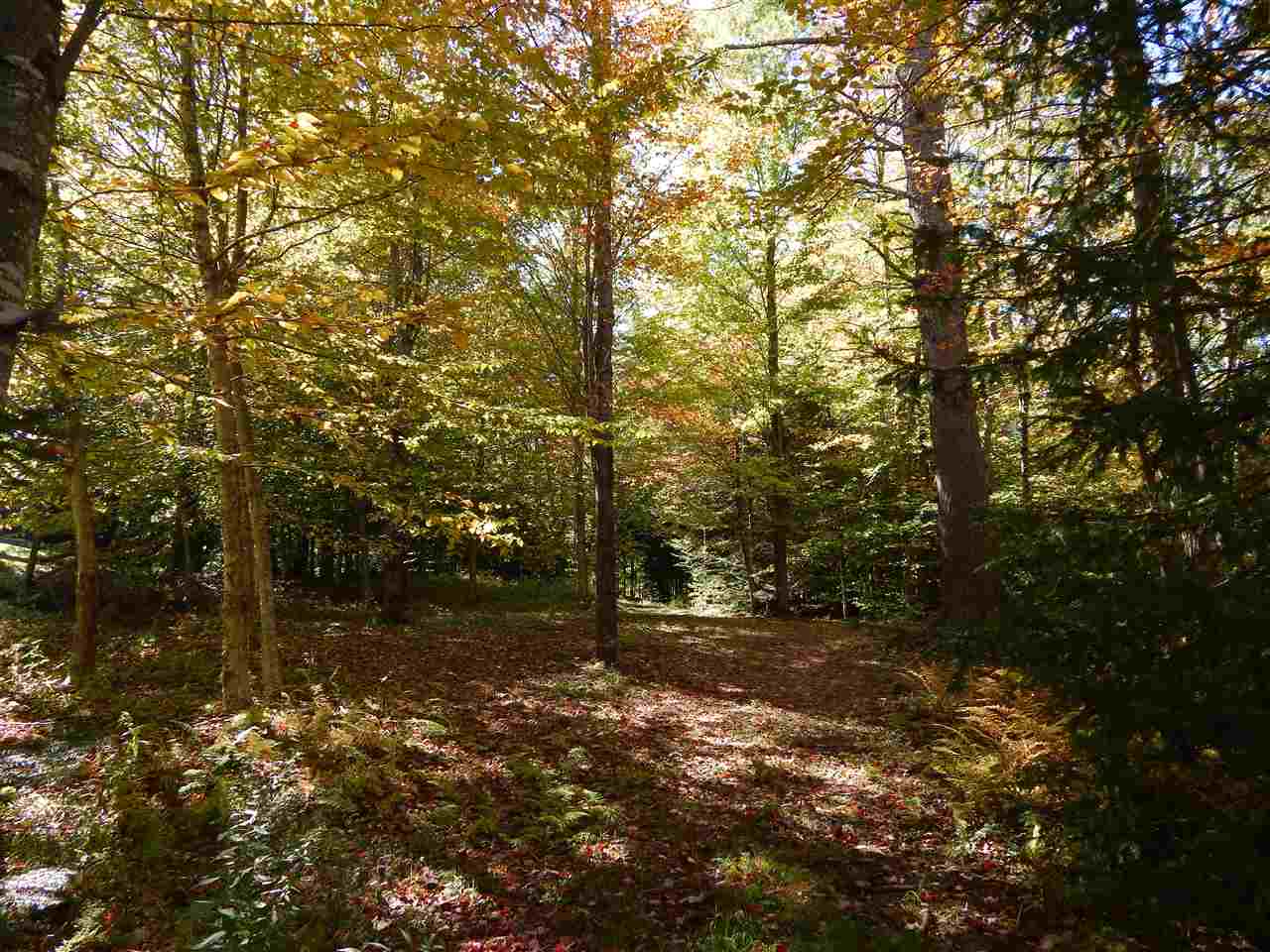 NEWBURY NH Land / Acres for sale