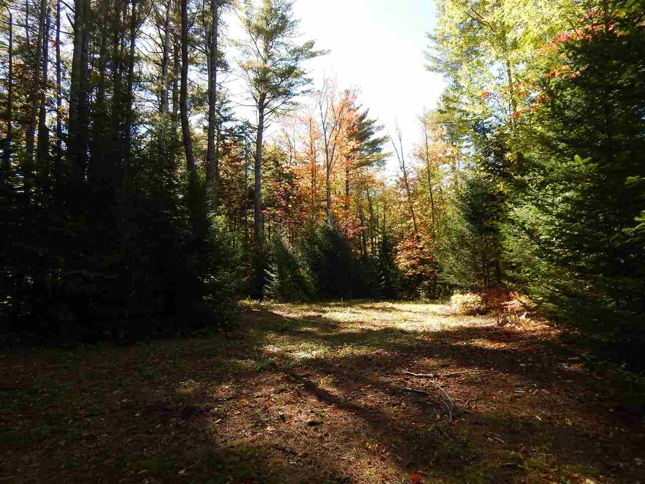 NEWBURY NH Land / Acres for sale