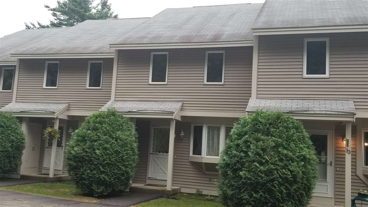 BRISTOL NH Condos for sale