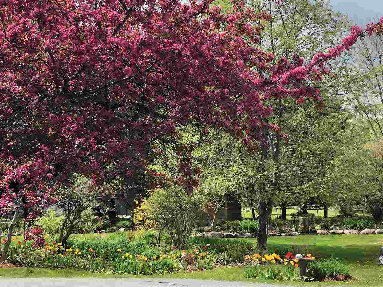 ENFIELD NH Commercial Listing for sale